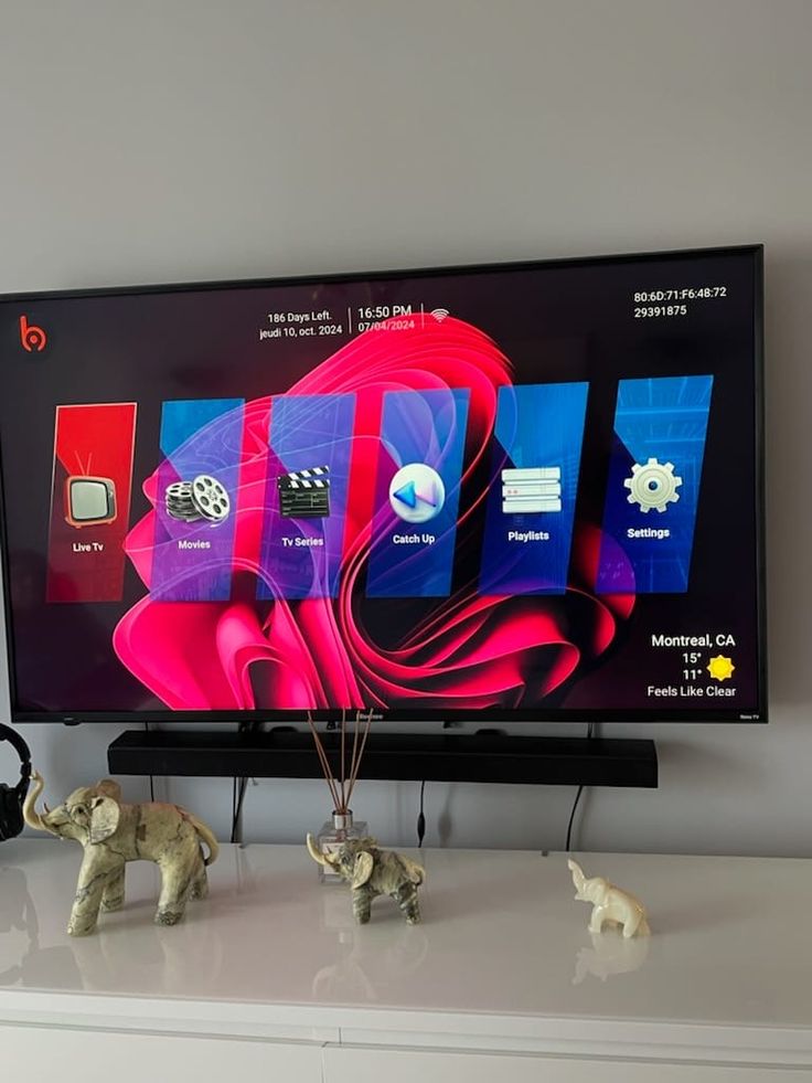Customer viewing setup shared with Gold IPTV by Jan V.